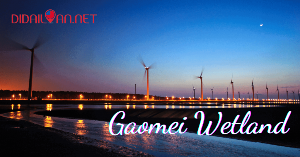 Gaomei Wetland: Cách Đi, Thời Điểm Tốt Nhất Để Ghé Thăm