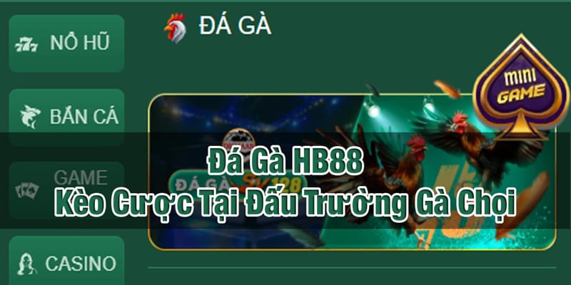 da-ga-hb88-kham-pha-keo-cuoc-tai-dau-truong-ga-choi-tai-hb88